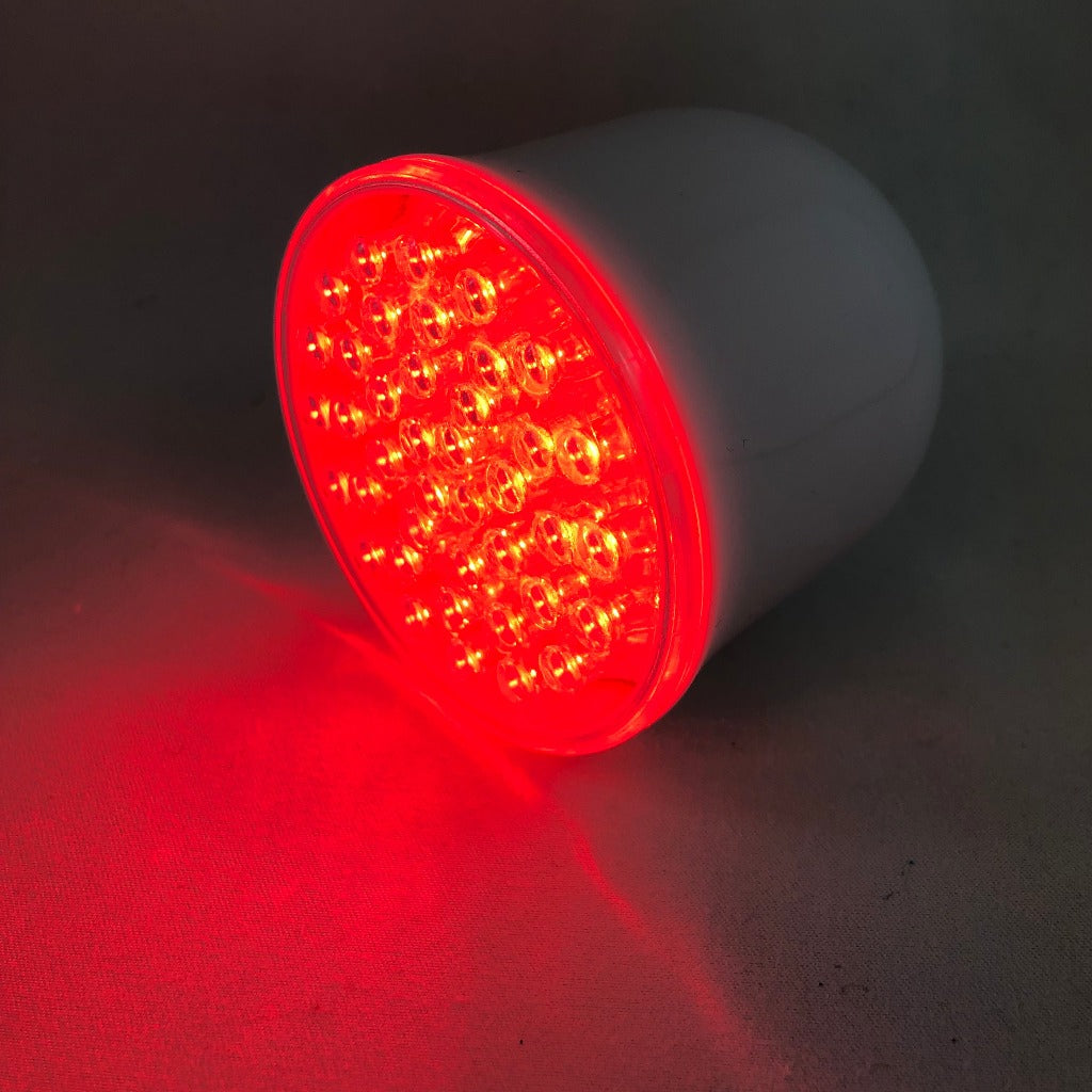 LED SKIN REJUVENATION - HAND-HELD DEVICE