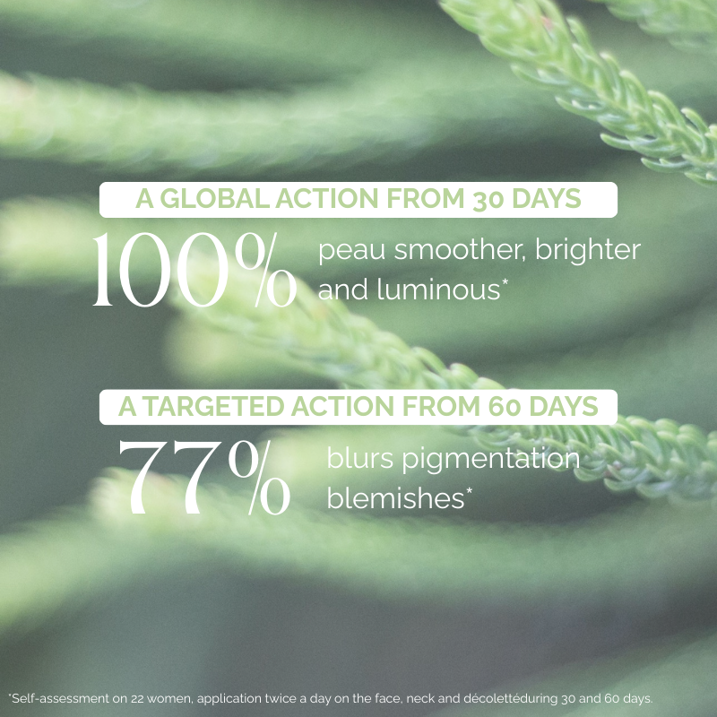 BERNARD CASSIERE WHITE PINE PERFECTING LUMINOUS CREAM