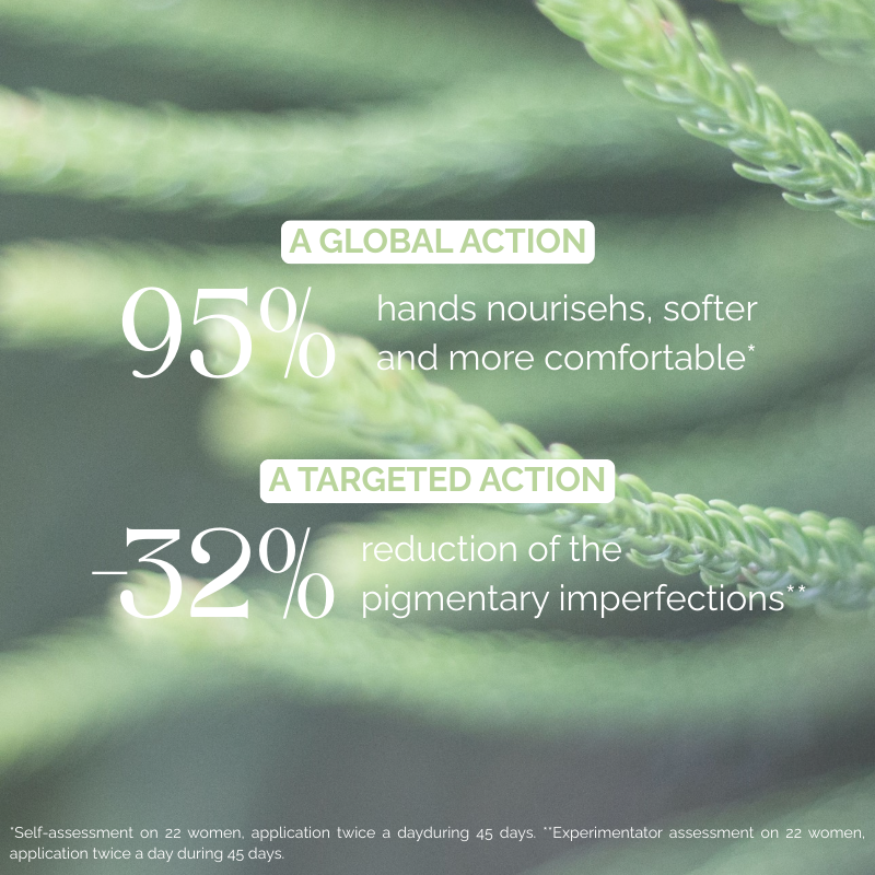 BERNARD CASSIERE WHITE PINE PIGMENTATION PERFECTING HAND CREAM