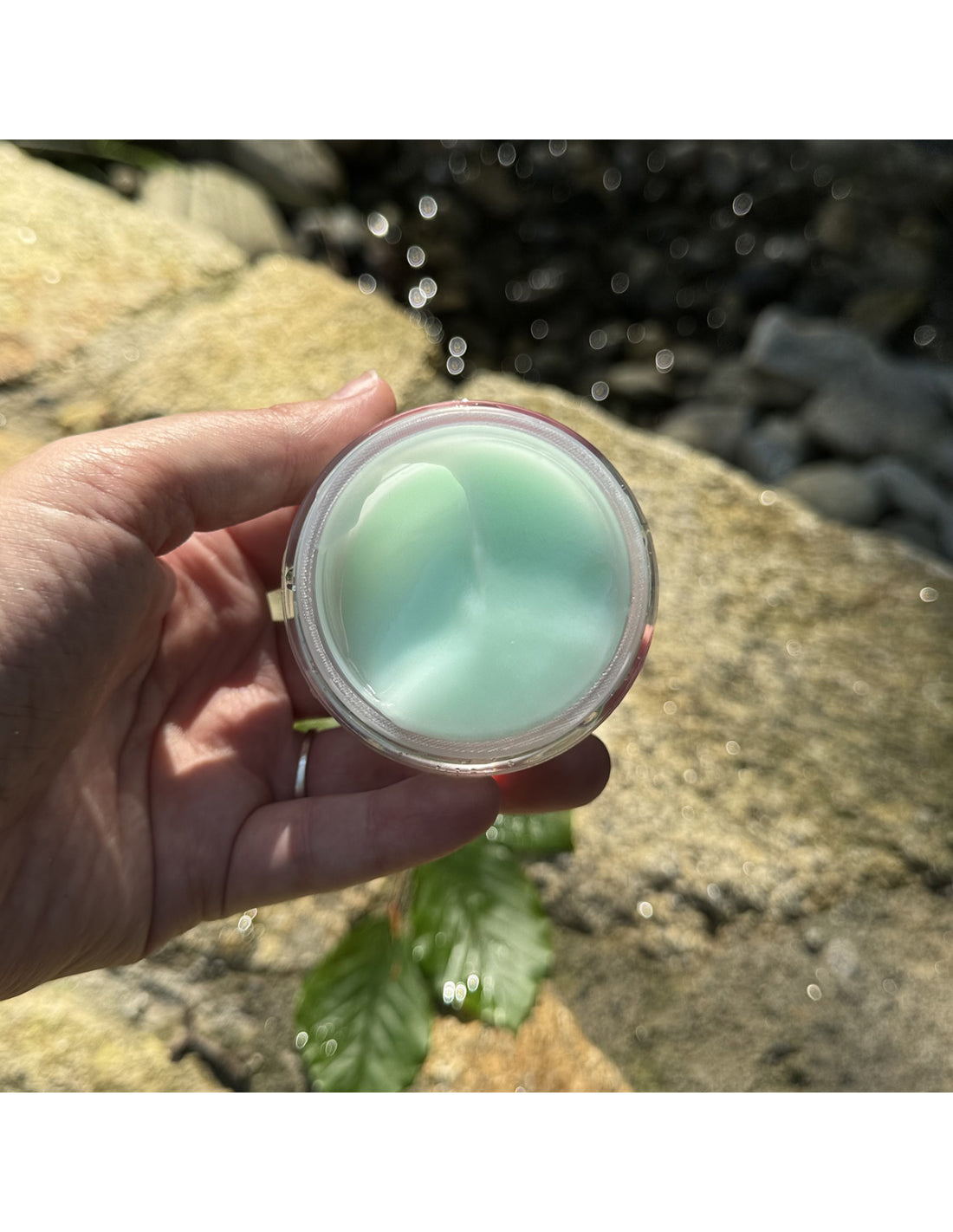 BERNARD CASSIERE - SPRINGWATER SORBET
